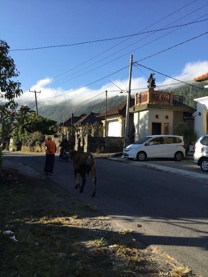 The Villa'S Kubu Sandan Kintamani Kültér fotó