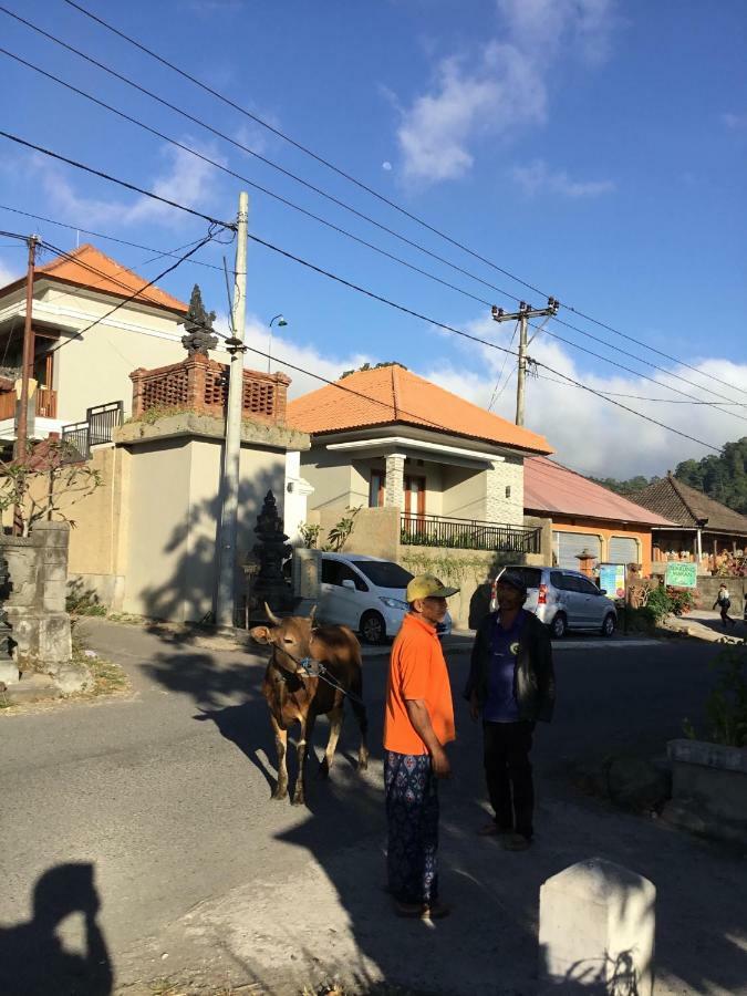 The Villa'S Kubu Sandan Kintamani Kültér fotó